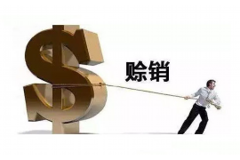 吐鲁番融资清欠服务